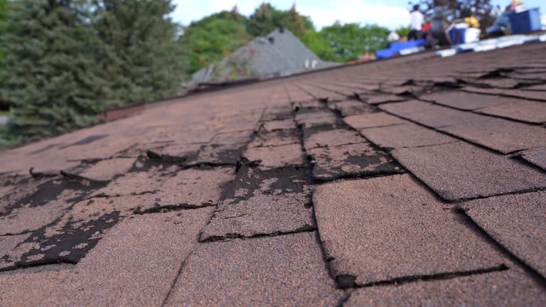  Bainbridge, OH Roofing Pros